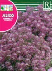 Aliso Compacto