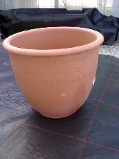 COCIO MARGARITA